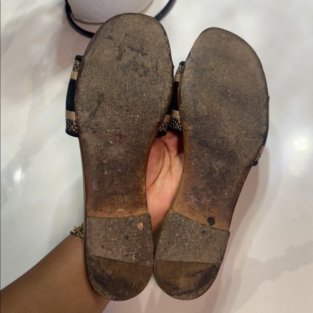 DIOR slide - Picture 9 of 14